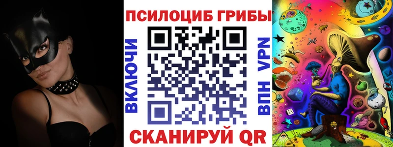 блэк спрут ССЫЛКА  Николаевск-на-Амуре  Псилоцибиновые грибы Magic Shrooms 